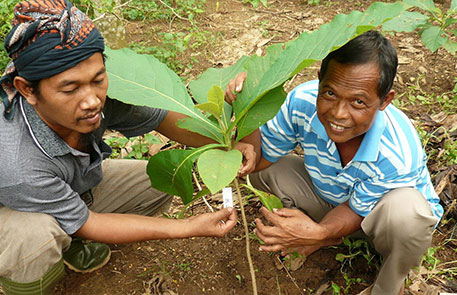 Indonesia